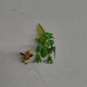Pokemon Battle Figure 2 Pack - 2-Inch Eevee and 4.5-Inch Scyther Battle Ready Figures