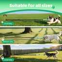 Bungee Tug of War Dog Toy with Upgraded Steel Stake, Cotton Ball, Teething Rope and Soft Rope, Tether Tug Outdoor Dog Toy for Lawns and Trees, Interactive Dog Toys for Medium, Large Dog, Blue