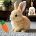 Hopping Bunny Toy, Interactive Electronic Bunny Stuffed Animal with Sounds and Movements, Animated Walking Wiggle Ears Twitch Nose, Easter Bunny Toys for Kids, Girls, Boys, Birthday Gift