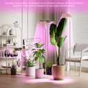 KINGPLUS Grow Lights with Stand, Double Head, Full Spectrum LED Grow Light for Indoor Plants, 240 Leds, 4 Dimmable Levels, Timer 4/8/12h, 12-60inches Height Adjustable, 36w, Ideal for Desk Small Plant