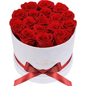 Prifroti 17 Flowers in a Luxury Suede Box, Birthday Gifts for Women, Preserved Flowers, Mothers Day Roses Gift for Mom, Red