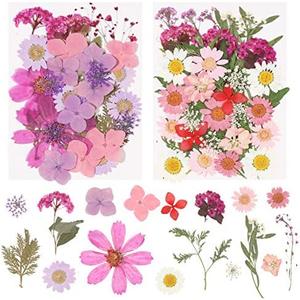 beyonday 138PCS Natural Real Dried Flower Leaves Presses Flowers Herbs Kit for Bath Soap Making Candle Making and Resin Jewelry Making Art Floral Decors(Purple & Pink) 2 pcs