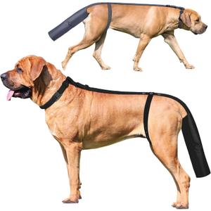 2 Pieces Dog Tail Protector Cover for Wounds, Dogs Tails Heal Sleeve, Dog Wound Care for Medium and Large Dogs to Assist in Recovery from Injury, Tail SizeL 14.9-16.5", Diameter 4.7-5.3"