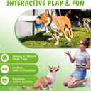 2 x Squeaky Balls for Dogs, Squeaky Dog Toys Balls for Fetch, Funny Puppy Chew Toys, Built-in Squeaker, Idea for Doggie Birthday Gift, Medium - 4 Pack (Mixed Color A)