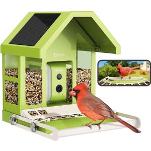 Birdfy Smart Bird Feeder with Camera, Durable Metal Bird Feeders for Outdoors, Auto-Detect & Record HD Videos, Instant Alerts & Live View, Solar Powered, Weatherproof for Backyard, Ideal Gift for Mom, Green