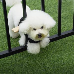MFC Harness + Wooden Bone (Fixed) for Small Dogs or Puppies | Prevents your Pet from Escaping through The openings in The Fence | Fence Blockers for Dogs| Puppy Bumpers. (Medium), Black