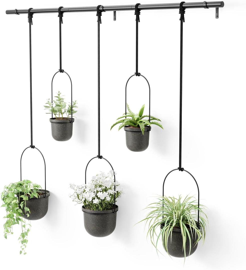 Umbra Triflora Hanging Planter, Set of 5, Black