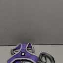 Puppy Harness and Leash Set - Dog Vest Harness for Small Dogs Medium Dogs- Adjustable Reflective Step in Harness for Dogs - Soft Mesh Comfort Fit No Pull No Choke (S, Purple)