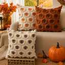 DFXSZ Fall Pillow Covers 18x18 Set of 2 Brown Pumpkins Embroidery Beige