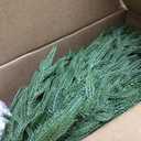 Waipfaru 4FT Christmas Tree with Lights, Real Touch Norfolk Pine Tree, Artificial Cypress Christmas Tree Potted, Xmas Tree for Indoor Outdoor Home Front Porch Christmas Decor