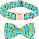 Lionheart Glory Valentine's Day Dog Collar With Bowtie for Large Dogs - Hearts Bear Spring Pink Pet Collar Bows (Large (Pack of 1)