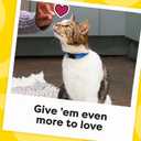 Temptations Jumbo Stuff Crunchy and Soft Cat Treats, Savory Salmon Flavor, 14 oz. Tub