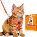 Halypet Cat Harness and Leash Set [MAX Safety 4th-Gen Upgrade] Escape Proof Adjustable Cat Leash Comfortable Soft Vest Easy to Wear Kitten Harness with Reflective Strip for Cats Walking, M Orange (Medium (13-18lb))