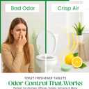 Toilet Deodorizer Tablets  Drop One In and Go  60 Count Citrus Scent  Odor Elimination for Bathroom  Replaces Toilet Spray  Long Lasting  Fresh Bowl Freshener