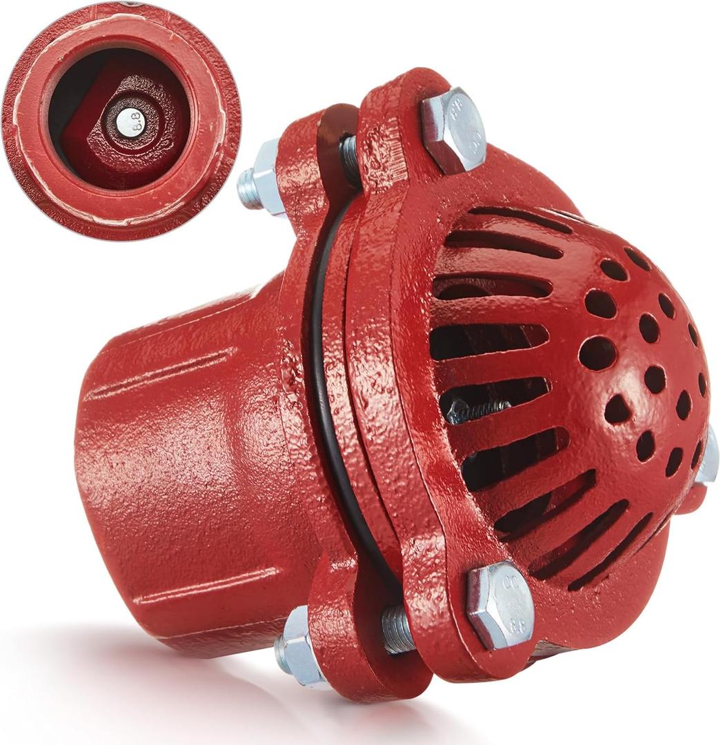 2 Inch Cast Iron Foot Valve NPT Painted Carbon Threaded Foot Valve for Water Service Only