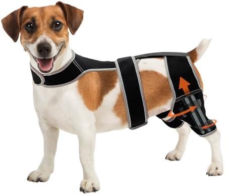 Adjustable Dog Knee Brace for Hind Leg - Double Leg Orthopedic Support with 4 Metal Stabilizers, Vest Design Dog Leg Brace for ACL/CCL Tear, Luxating Patella, Arthritis & Post-Surgery Rehab (Large)