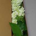 Waipfaru 21" Real Touch Hydrangea Artificial Flowers with Long Stem & Leaves, Full Latex Faux Hydrangea Flowers for Home Decor Party Floral Arrangements Wedding Bouquets Centerpieces, Green 3Pcs