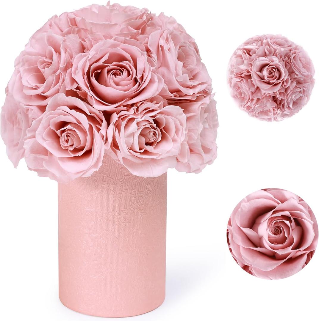 ANLUNOB 20 Flesh Pink Roses Forever Flowers Gift for Women Mother Day Flower Gift for Mom Birthday Valentines Day Gifts for Mom Women Grandma Sisters Daughter