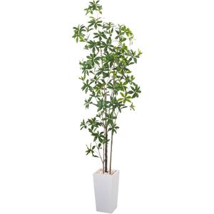 Artificial Brave Ficus Tree 7FT-Faux Tree with White Tall Planter-Fake Potted Tree with Silk Leaves-Tall Artificial Plants for Home Office Living Room Hallway Decor Indoor