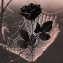 Laelfe 12 PCS Artificial Flowers Black Roses, Fake Silk Flower Long Stem Artificial Rose for Home Wedding Party Decorations(Black Halloween)