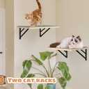 Burlywood Cat Furniture Indoor Set of 2: Wood Shelves with Scratching Pad, Climbing Shelf for Sleeping & Playing, Window Perch for Big Cats