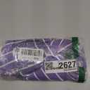 Tankaneo Womens 2 Piece Outfits Striped Long Sleeve Button Down Collared Shirt Matching Shorts Sets (Medium, Purple)