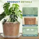 6/8/10 Inch Large Size Clear Nursery Pots with Drainage and Saucers, 9 Pack Plastic Plant Pots for Seedling Starter, Durable Plastic Pots for Indoors