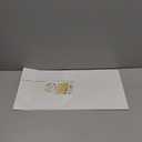 White Gift Box 10" x 6" x 3" with Magnetic Closure Lid Gift Boxe for Presents,Bridesmaid Gifts Boxes,Cute Box,Birthday Box,Luxury for Gift Packaging, Magnetic Gift Boxe for Wrapping Gifts (White)