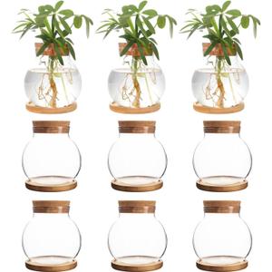Plant Propagation Station,Hydroponic Glass Container Vase Jars, with Wooden Saucer for Desks, Houses, Garden Decorations, Home Kitchen Decorations and Gifts for Plant Lovers (9)
