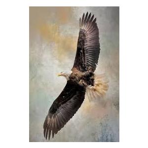 Crystal Art Gallery 24"×18" Wall Artwork