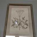 HD Designs Wood Decor, 15.7 in 