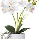 Jusdreen 1 Pcs Ceramic Vase Artificial Orchid Flower Bonsai Vivid Phalaenopsis Flowers Potting for Home Office Dcor,Table Centerpiece Room Decorations 14.5 INCH (Ceramic Pot/White Orchid) (Z/Ceramic-white)
