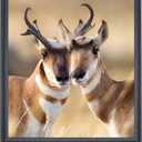 21x24 inch Poster Frame Solid Wood Black, Wall Hanging Picture Frame  (F23B2124)