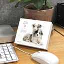 Gladstone Media, Puppies & Friends 2026 Desk Calendar