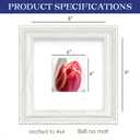 An&He 8x8 Square Picture Frame, Vintage Wood Photo Frame with PS Panel for Wall or Table Display – White Wood