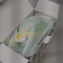 rockpapa Share 1 Kids Headphones Wired with Microphone & Share Port, 85dB/94dB Volume Limited, Cute Foldable Student Child Boys Girls Headphones for School/Classroom/Travel Green/Yellow