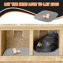 Skimzy Chicken Nesting Box Pads, 12 x 12 in Washable Reusable Nest Box Liners, 8-Pack, Breathable Drainage Design, Gray