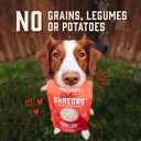 Stella & Chewy's Cage Free Chicken & Turkey Shredrs - Premium Dog Food Pouches - Perfect for Picky Eaters - 12 Pack, 2.8oz Each (EXP 02/08/27)