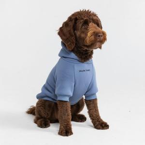 Spark Paws Dog Hoodie Premium Dog Sweater for Small, Medium, and Large Dogs | Warm Outfits for French Bulldogs, Pitbull, Puppy, Winter Jacket Alternative - Slate Blue - (2XL: 40-60lbs)