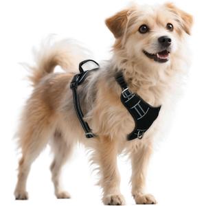 No Pull Dog Harness with Reflective Safety Strips, Adjustable Soft Padded, 3 Buckles, 2 Leash Clips, Oxford No Choke Pet Vest with Easy Control Handle for Medium Dogs, Black, M