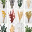 12 Kind Dried Flowers Set - Including Lavender, Eucalyptus, Wheat, Bunny Tails, Handmade for DIY Crafts, Vase Decor, Wedding/Home/Birthday/Seasonal Decor