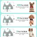 Kkiimatt XS Dog Grooming Hammock Harness, Grey, Nail Trimming, Holder, Restraint, Thick Neck Support