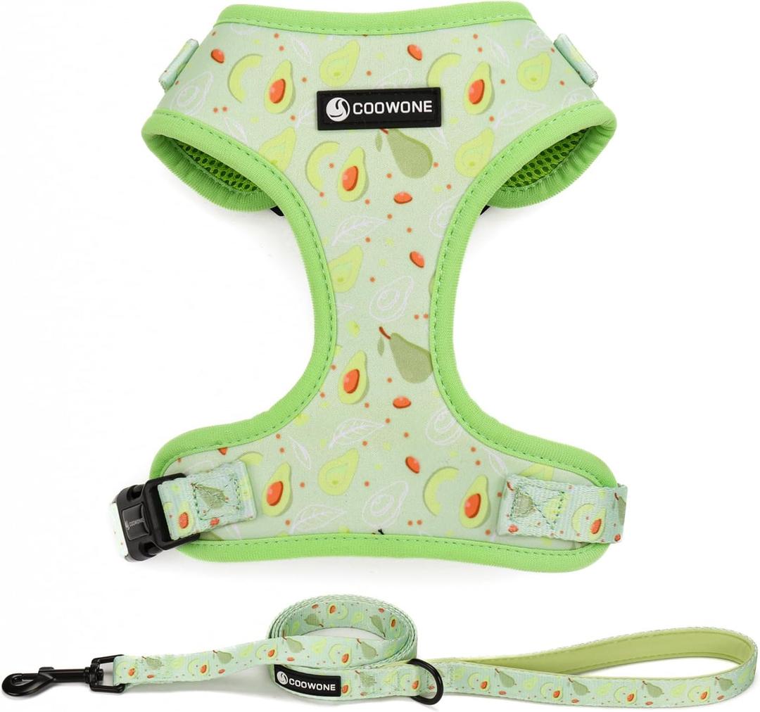 Dog Harness and Leash Set, Adjustable Dog Harness, Dog Leash, No Pull No Choke Puppy Harnesses for Walking Training for Small Medium Pet (XS(Chest 9.9 - 13.5", Neck 7.8 - 10.2"), Avocado)