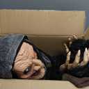 JOYIN 65" Halloween Animatronics Witch Decorations Outdoor with LED Eyes and Creepy Sound, Scary Life Size Animated Decor for Haunted House Lawn Yard