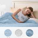 Mr. Sandman Weighted Blanket for Adults Queen Size 15 lbs, Soft Cooling Heavy Minky Blanket for Sleep, Washable Throw Blanket with Glass Beads, 60 x 80 Inches, Light Blue