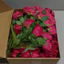 80 Pcs Roses Artificial Flowers, Silk Hot Pink Artificial Flowers Petals Long Stem Roses for Wedding Bouquet Home Party Decor