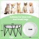 Ceramic Cat Bowls, 2 Pack - Raised, Whisker Friendly, Anti-Vomiting Cat Food Plates - Hygienic, Secure Material, Elegant Stand, 10 oz, for Indoor Cats & Kittens