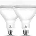 Energetic LED Flood PAR38 Light Bulb, 3000K Warm White, 90W Equivalent, Efficient 11W, Wet Rated, 900 Lumens, Medium Base, Non-Dimmable, 2 Pack