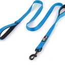 Plutus Pet Dog Leash 6ft Long,Traffic Padded Two Handle,Heavy Duty,Reflective Double Handles Lead for Control Safety Training,Leashes for Large Dogs or Medium Dogs,Dual Handles Leads(Light Blue)