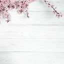 7x5ft Valentine's Day Backdrop Countryside Rustic White Wood Plank with Wood Texture Spring Pink Blossom Peach Apricot Cherry Background Children Baby Adults Portraits Backdrop